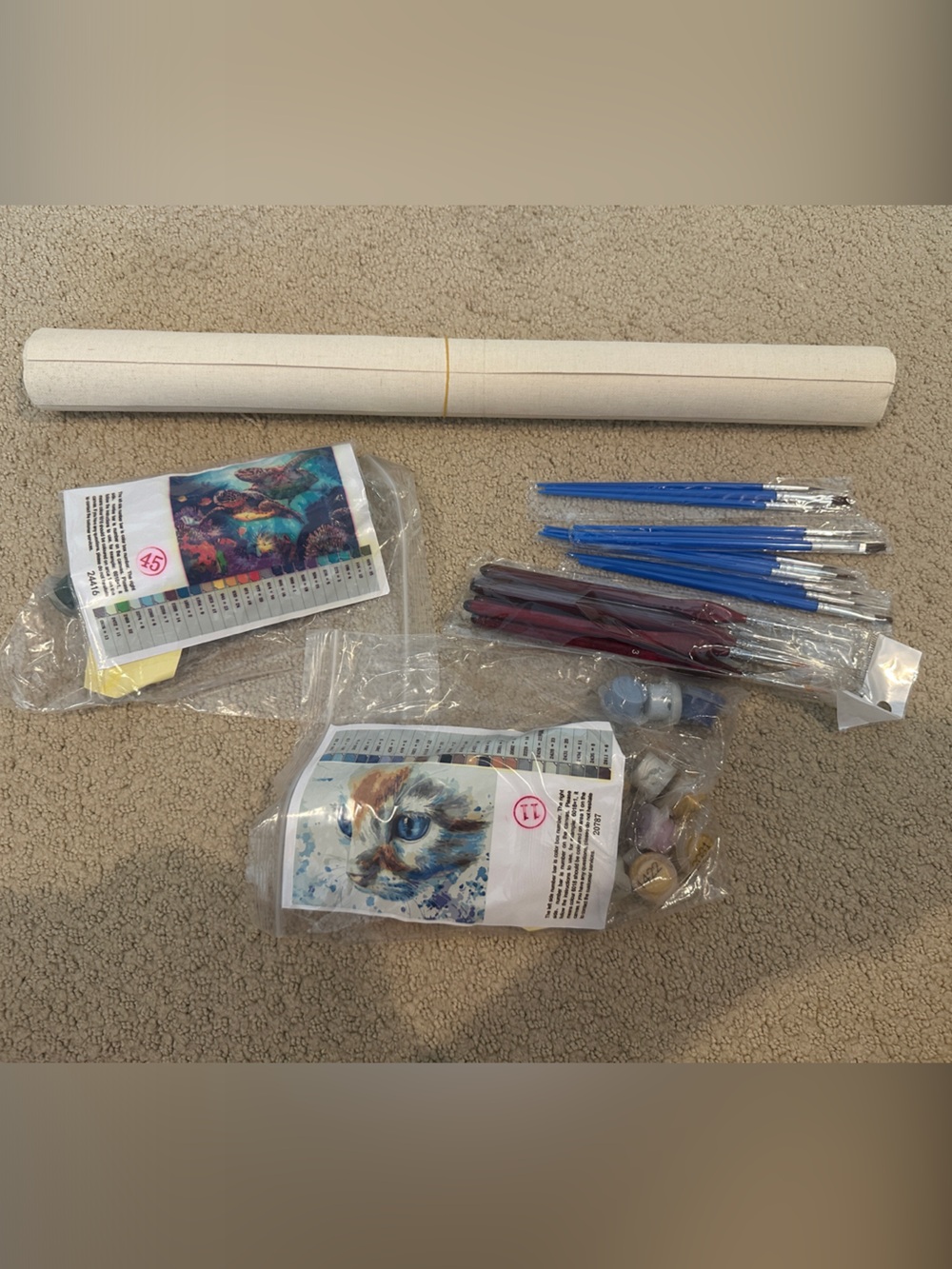 Paint-by-Numbers Home Art Kit NEW
